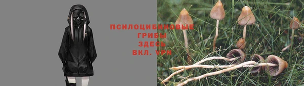 метамфетамин Михайловка
