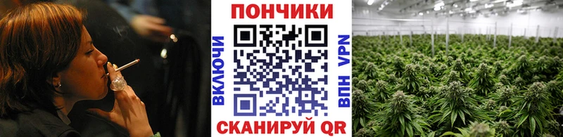Бошки Шишки VHQ  Купить закладки  Батайск 